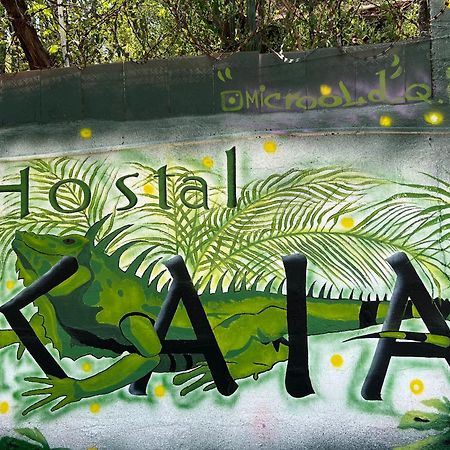 סנטה מרתה Hostal Kaia מראה חיצוני תמונה