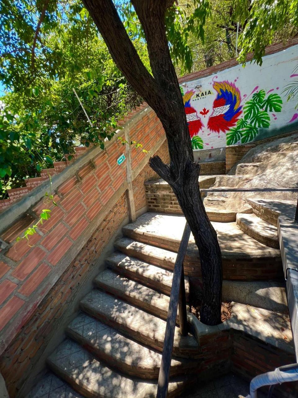 סנטה מרתה Hostal Kaia מראה חיצוני תמונה